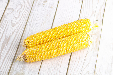 Sweet yellow raw corn cob