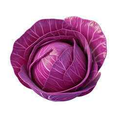 Obraz premium red cabbage isolated on transparent or white background, png