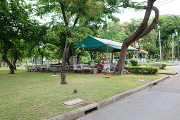 Bangkok, Thai, Thailand, Summer, Lumpini Park, Asia, Travel