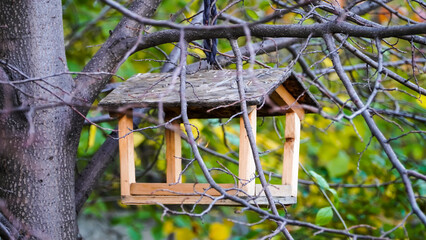 A wooden bird feeder hangs on a tree branch. Feeding birds in winter.	