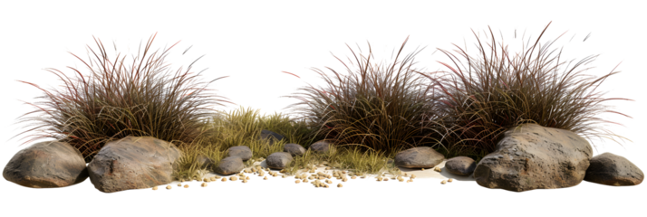 Isolate savanna dry grass meadow shrubs with rocks on transparent backgrounds 3d render png