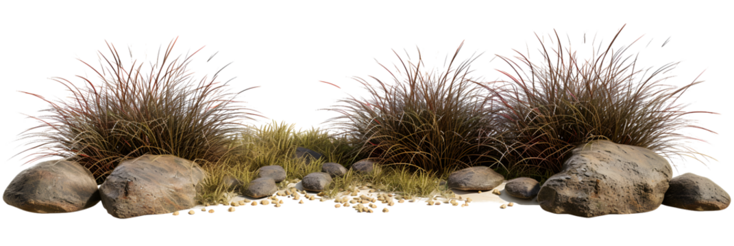 Isolate savanna dry grass meadow shrubs with rocks on transparent backgrounds 3d render png - Powered by Adobe