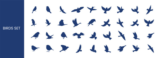 Vector silhouette flying birds on a white background. Birds set of icon.