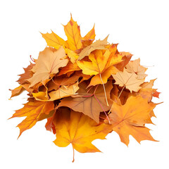 Fototapeta premium Pile of autumn leaves isolated on transparent or white background, png