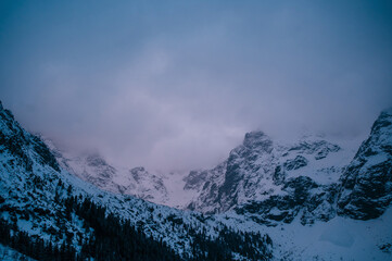 A natural landscape featuring a snowy Tatry mountain range with trees on the slope, under a cloudy...