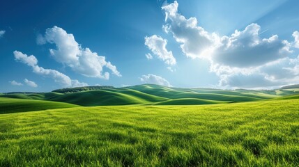 Fototapeta premium Idyllic Rolling Green Hills Under a Clear Blue Sky with Wispy Clouds.
