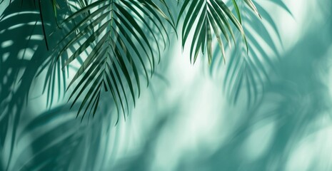 A green shadow is cast by a palm leaf, featuring a motion blur panorama, eco-friendly craftsmanship, playful use of negative space, and minimalistic objects in light gray and aquamarine. - obrazy, fototapety, plakaty