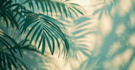 A shadow of palm leaves is cast on a wall, featuring a motion blur panorama, minimalist still life, minimalist and abstract shapes, and a matte background in light emerald and light beige.