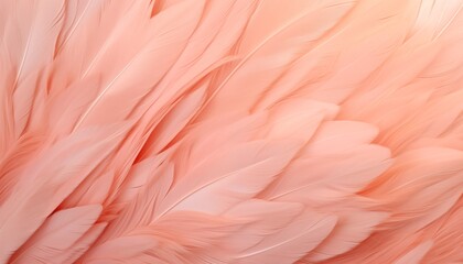 close up pink flamingo feathers