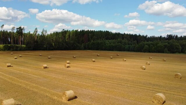 aerial view of the straw bales in a wheat field