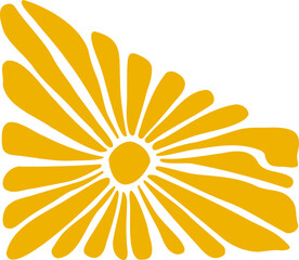 Retro Fruit & Floral Illustrations art hand drawn vintage 