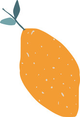 Retro Fruit & Floral Illustrations art hand drawn vintage 