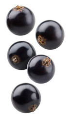 Fresh organic ñurrant isolated