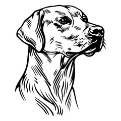 Fototapeta premium labrador retriever black silhouette logo svg vector, labrador retriever icon illustration