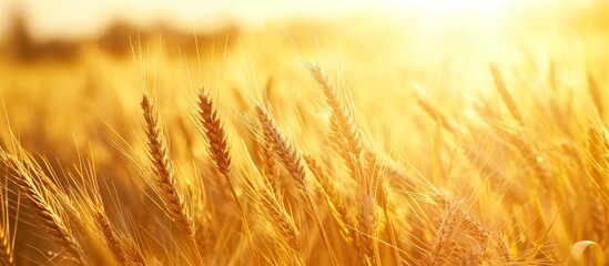 A duo of engineers scrutinizing code on laptop, searching for errors, as a team of developers collaborate on an AI cloud computing project.