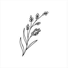 Wildflower Clipart for wedding invitation. Hand-drawn doodle Scribble floral plant. Botanical flower branch. Trendy sketch element of garden plant.