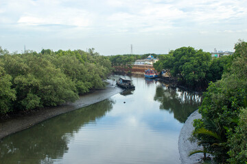 river by the sea with mangrove forest and traditional fishing boat.