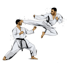 fighting training in Karate. Karate is a martial art originating from Japan. vector illustrator
