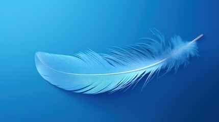 a close up of a blue feather on a blue background with a blurry image of a bird's tail.