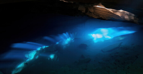 Mystical Blue Ray Light Piercing Through Serene Cave Underwater