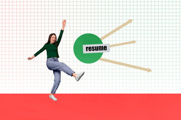 Collage creative picture illustration happy excited smile young woman search new job interview...
