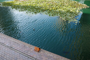Barbican, London, UK, Architecture, Design, Brutalism