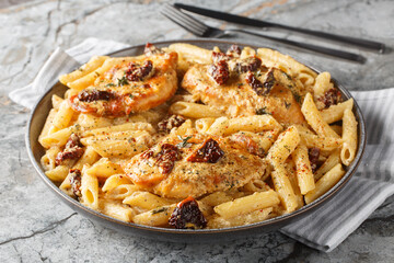 Marry Me Chicken penne with creamy pasta, tender chicken breast, parmesan cheese, sun-dried tomatoes, and herbs closeup on the plate on the table. Horizontal