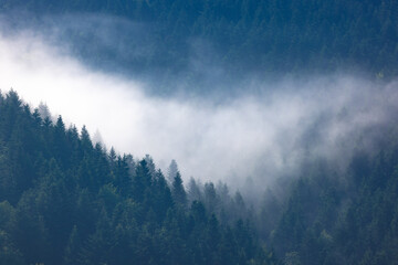 Mgły w lasach nad Łomnicą-Zdrojem latem. Piękny krajobraz. - obrazy, fototapety, plakaty