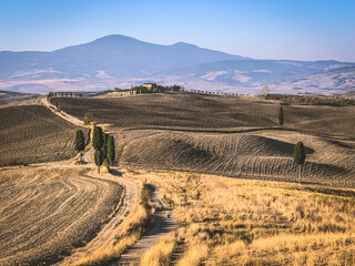 landscape typical passage of tuscany