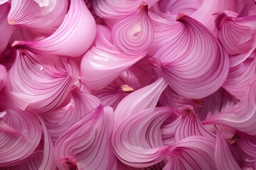 Fototapeta premium Onion