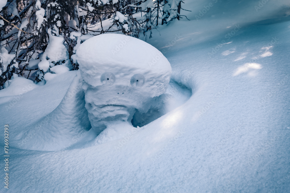 Poster strange face drawn with a ski pole of small fir tree covered by snow . fantastic winter scene in mou