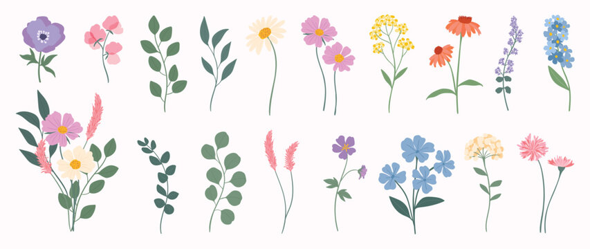 Collection of spring colorful flower elements vector. Set floral of wildflower, leaf branch, foliage on white background. Hand drawn blossom illustration for decor, easter, thanksgiving, clipart. © TWINS DESIGN STUDIO