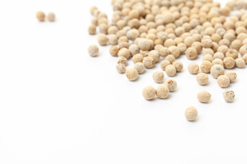White peppercorns on white background. Organic spice. Dry white pepper grain. 