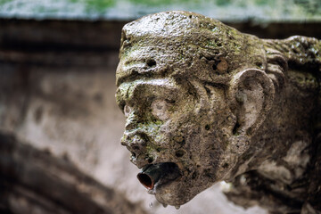 Closeup portrait of a gargoyle under the rain on a wall of the City Hall or Rathaus at Marienplatz in Munich, Bavaria, Germany. 
