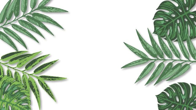 Tropical Plant leaves background Animation with copy space. Green Plant Leaf Decoration in Border or Greenery Frame  