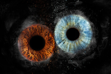 Iris marron et bleu duo dispersion fumée - obrazy, fototapety, plakaty