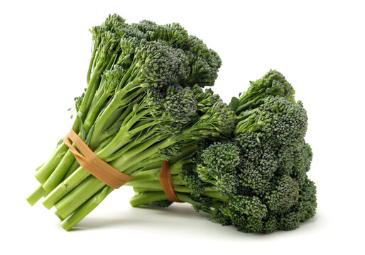 broccolini baby broccoli on white background 