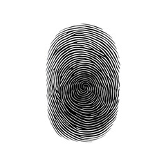 fingerprint isolated on white transparent background