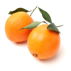 Orange fruit on the white background