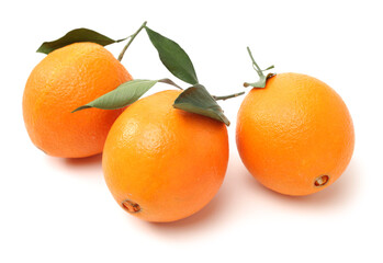 Orange fruit on the white background
