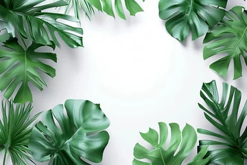 Zelfklevend Fotobehang Tropical green monstera leaves frame on a white background with space for text. © robertuzhbt89