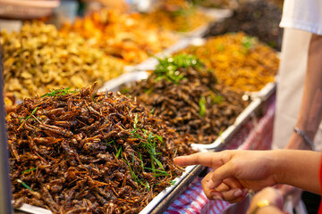 Fried Insect street food of Thailand