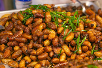 Fried Insect street food of Thailand