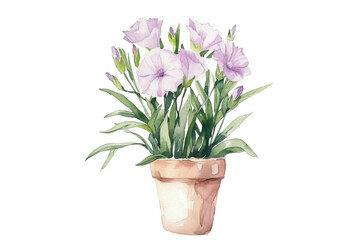 Naklejka na ściany i meble Watercolor of flowers bouquet in pot isolated on background, floral with green leaves for greeting card decoration, branches of flower.