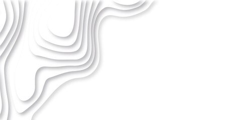 Abstract white paper cut background with lines. Background of the topographic map. White wave paper curved reliefs abstract background. Realistic papercut decoration textured with wavy layers.