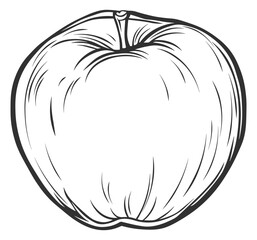  vector illustration apple without background