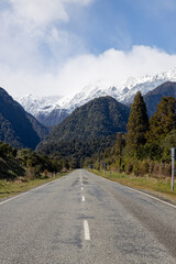 curved road between trees with snowy mount cook in the background in new zealand