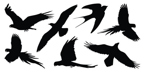 Flying and Sitting Bird Silhouettes vector