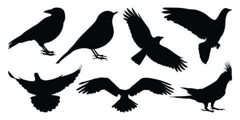 Flying and Sitting Bird Silhouettes vector