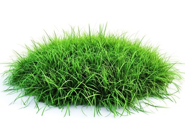 Green Grass Arena on White Background. High-Resolution 3D Illustration of Lush Turf in Circular Stage Setting